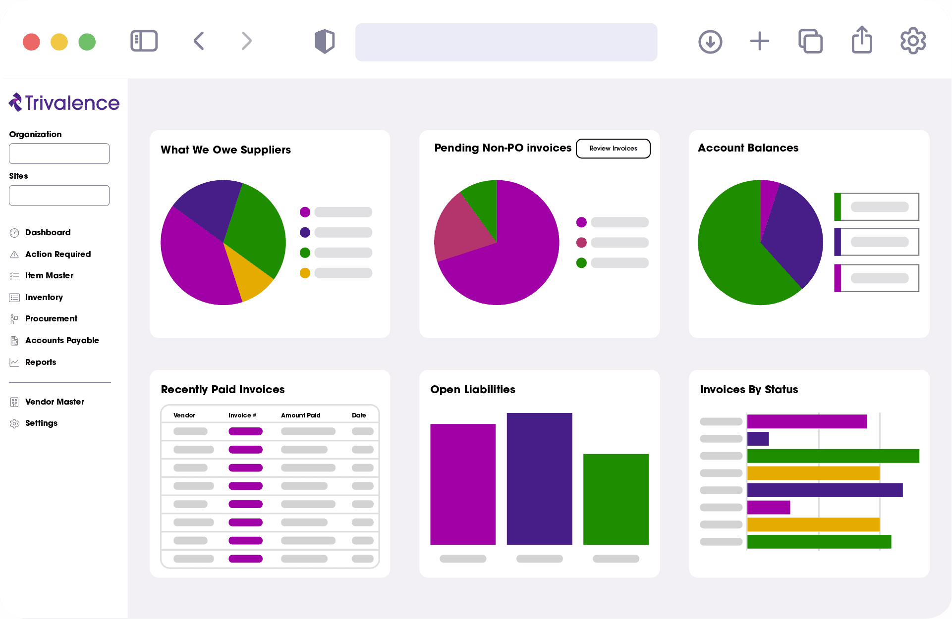 A comprehensive financial dashboard displaying various charts and graphs related to supplier payments, invoices, account balances, and liabilities for business analysis.